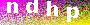 captcha_pic