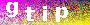 captcha_pic